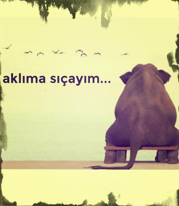 bazen tek başına oturur ve düşünürsün. 
ve sonra içindeki ses sana şöyle fısıldar;