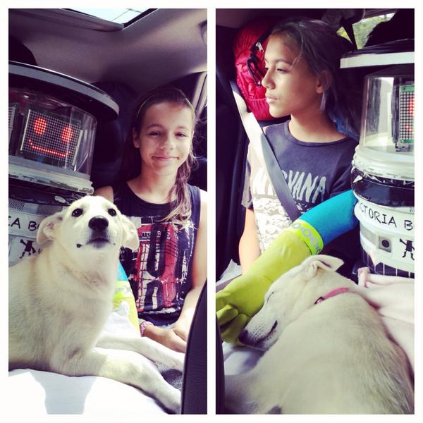 Embedded image permalink