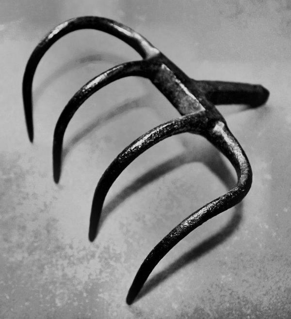 Fit Motivation tweet media