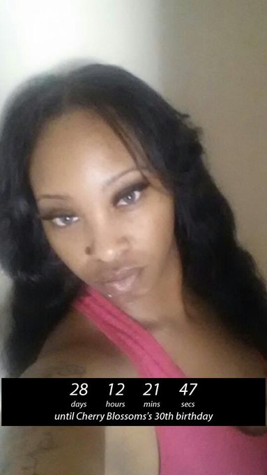 28 days 12 hours 21 minutes 46 seconds util Cherry Blossoms's 30th birthday http://t.co/tWs4TucKiD @Sevenlogics