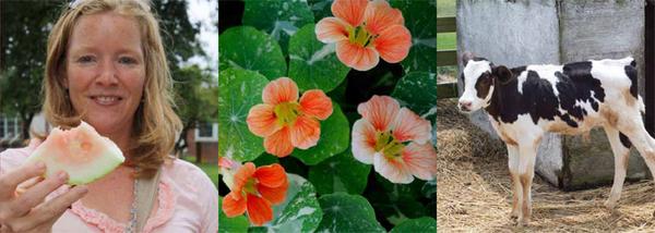 In 2012, 49mil Americans struggled with hunger (USDA) That's 16 percent of the population!! 2x the unemployment rate!