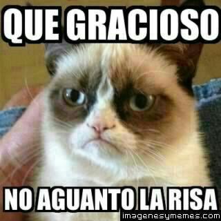 mclaraortiz's tweet photo. @24Noquiero @MattiRobledo http://t.co/99m945w5h6