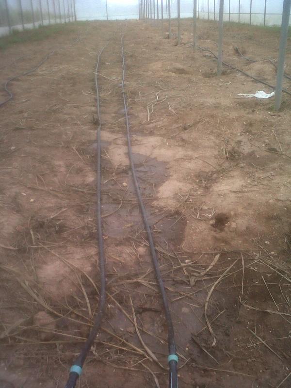 fondasmaquina's tweet photo. @saverio_celis @yvangil @FondasOficial Reactivacion de Sistema de riego por Goteo en Casas de Cultivo el Maizal. http://t.co/00kBqQwiAG