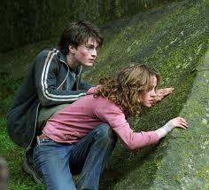 Hermione Granger (@grangerrp) on Twitter photo 