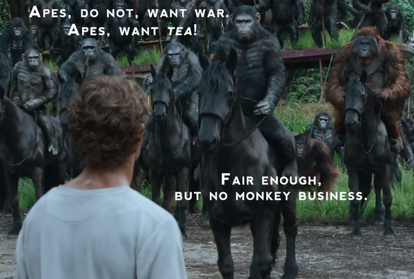 Queen Song feels a few mugs of #tea could have solved the issues in #DawnofApes. One lump or two, Caesar?