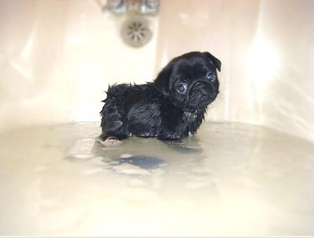 aliklos's tweet photo. @sam_sprott this was me as a child http://t.co/G3TIxTlEOD
