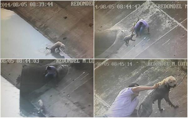 eluniversocom's tweet photo. (VIDEO) Hombre rescata a perro que cayó en zanja de Guayaquil: http://t.co/Dyr7aOmOEB http://t.co/GPmssLZsB9