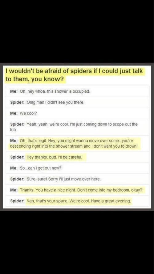 GirlsNoteBook's tweet photo. If spiders could talk: http://t.co/FUZPaXDOhm