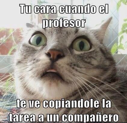 JulioJavierJ's tweet photo. http://t.co/wm2g28blZb