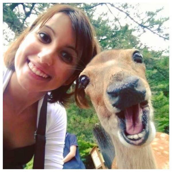 The Selfie Game tweet media