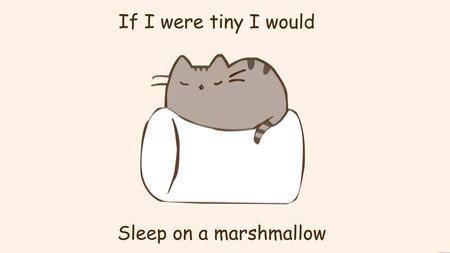 Loki_Can's tweet image. Psst! @iron_mun sleeps on marshmallows. Pass it on.