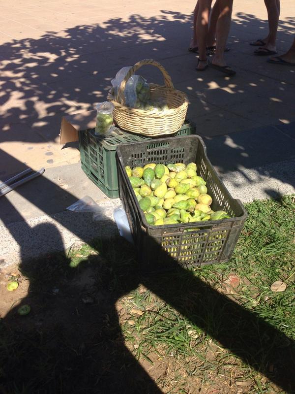 El pregón del vendedor es: "bonitaaa te parto el higo"