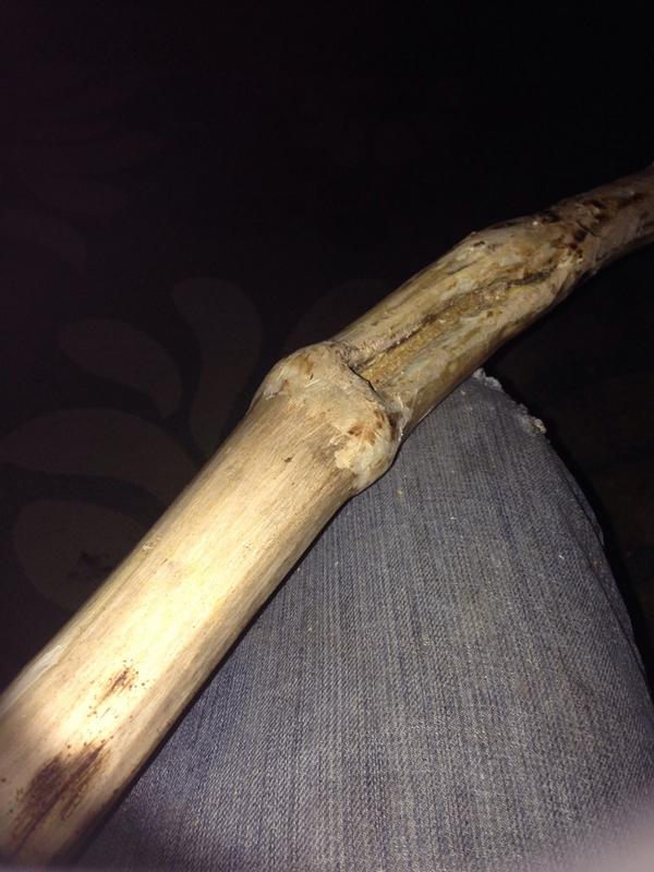 SpooderRaging's tweet photo. Carving my new (old reclaimed) festival staff. Will have carvings, wire raps, quarts amethyst in a tri ranch meeting😝 http://t.co/fXQNFj2qCd