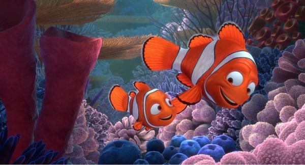 TuFraseDisney's tweet photo. "De buscando a nemo aprendí que quien te quiere te busca." http://t.co/phwD5knQM6