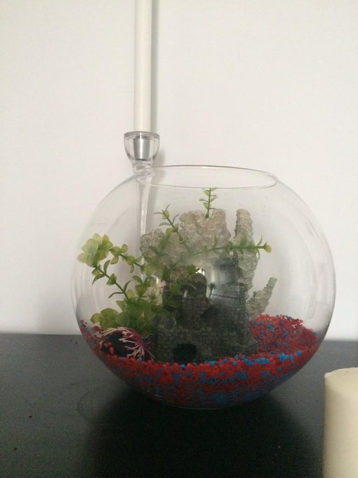 It's empty now:((( R.I.P my dear fish 😔😭 http://t.co/uO8MMZUuBc