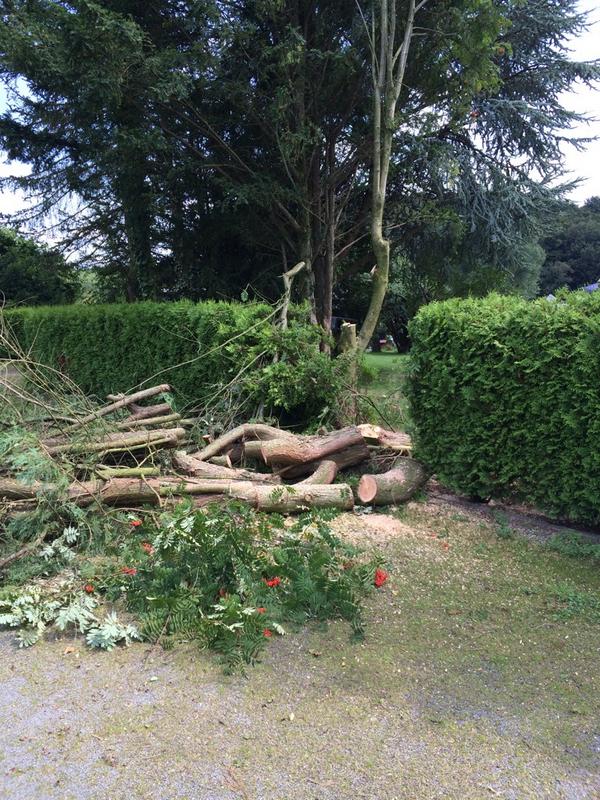 Heute wird dieStromleitung freigeschnitten. Sieht mehr nach wüster Zerstörung aus.