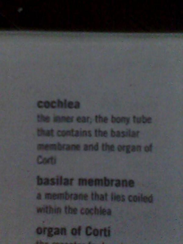 mnlghtsnt's tweet image. Diba eto yung isang coach sa The Voice? Hahahaha. Sorry. Cant help it. #GenPsy