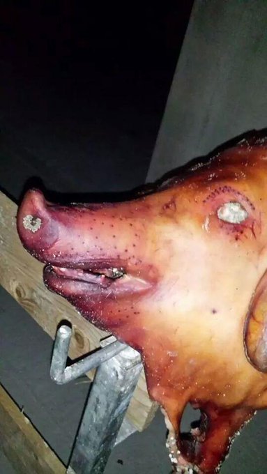 Bild auf Twitter anzeigen