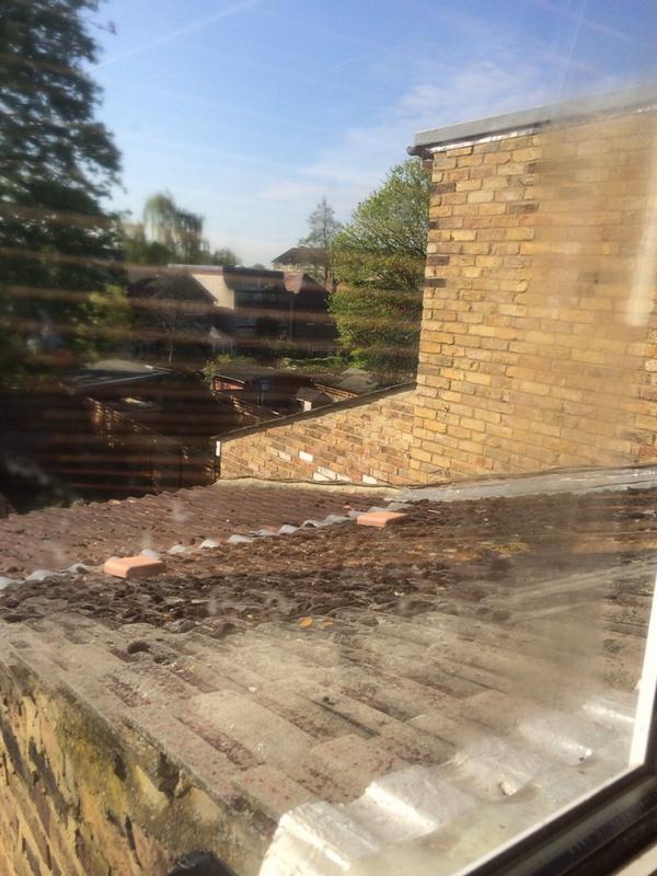 LimeTreeDesigns's tweet image. St Winifeds Road, Teddington Before