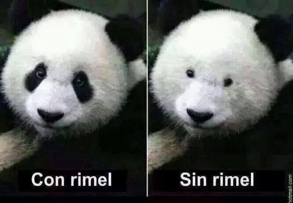 iSiPeroNo's tweet photo. ���� http://t.co/VljfWYx257