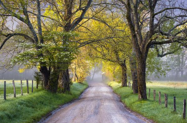 TermLifeTenn's tweet image. Good Morning Tennessee!