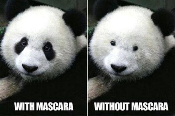 Demotivateur on X: "Panda sans mascara ! http://t.co/36HVNwaESy" / X