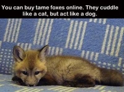 thoughts_'s tweet image. 