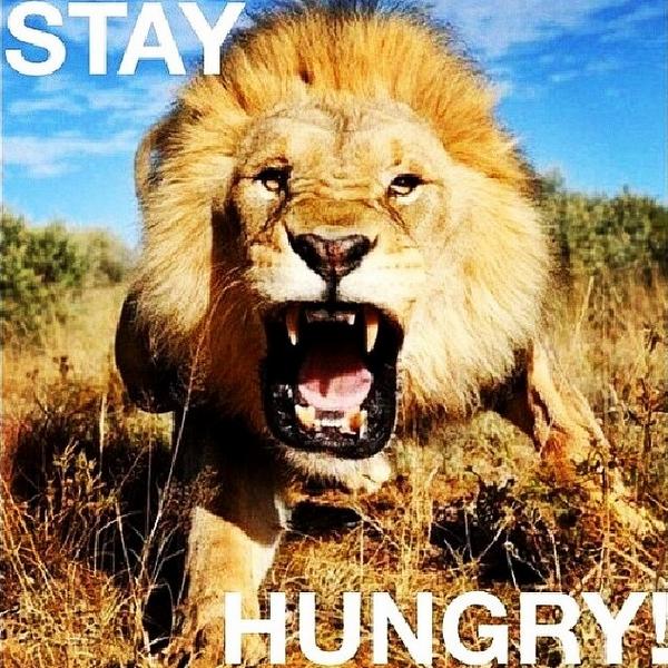 rubyindiaglass's tweet image. Stay hungry stay foolish