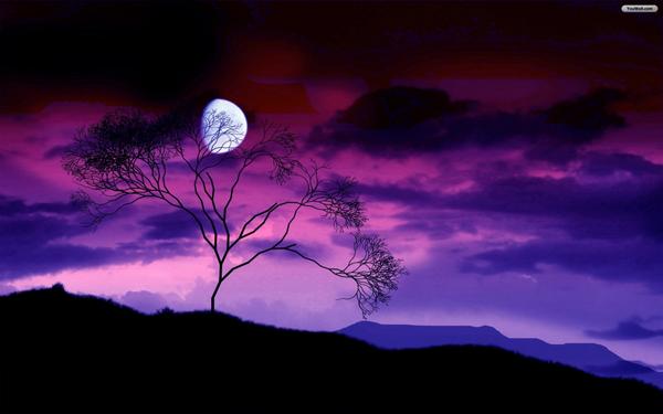 GradualNothing's tweet image. 