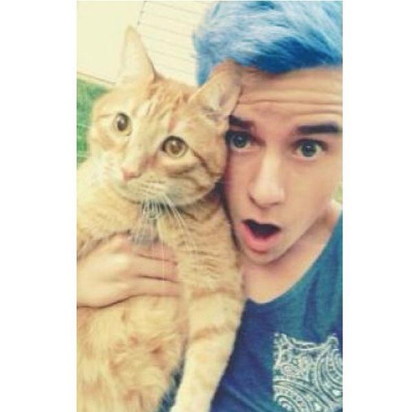 helpingO2L's tweet image. Meanwhile have this beautiful pic of a cat and connor with blue hair which I edited 😋