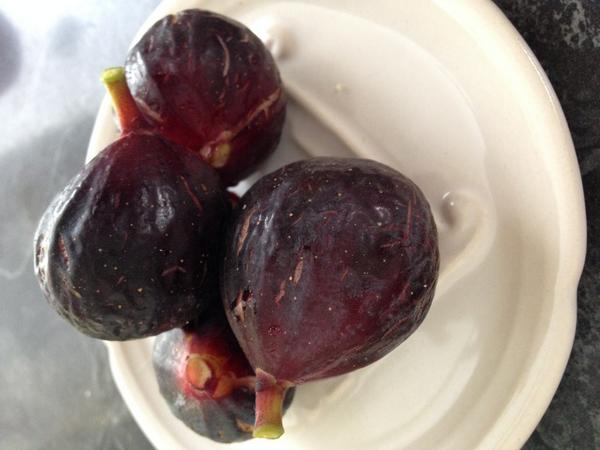 STMMQuinet's tweet photo. I had to compete with Scandurro's citrus, so here are some Quinet-grown fruits! http://t.co/SzeWNrnjjT