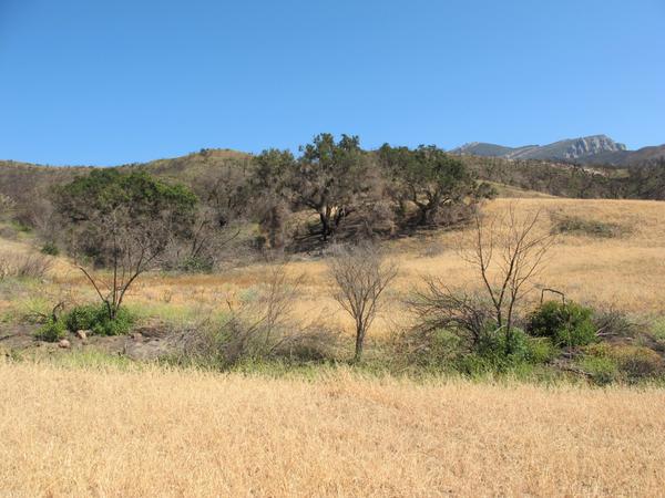 bunnyfoot1's tweet photo. #springsfire02 http://t.co/Enqcq701Je