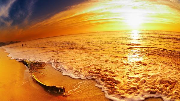 Amanda345swk's tweet photo. My soul is from elsewhere, I'm sure of that, and I intend to end up there - Rumi. http://t.co/ZBxWSi8o8g