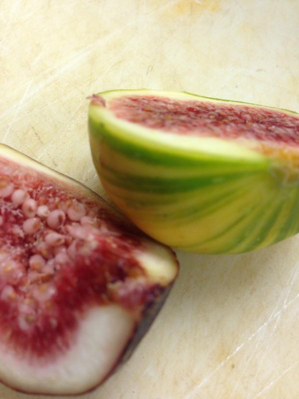 Fig season