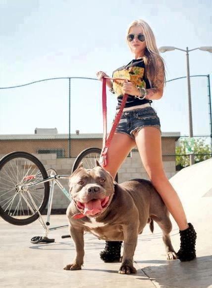 I Love Pitbulls tweet media