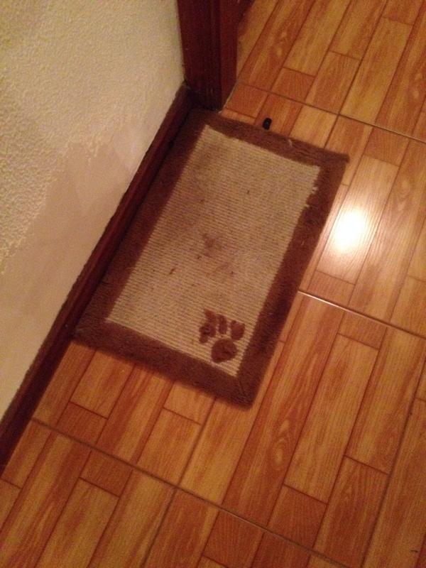 Ari5va's tweet photo. Foco de atraccion de: cucarachas, moscas, mosquitos, pulgas y caballitos del diablo #soesunherviero http://t.co/WrSYCYh5iB
