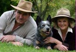 localcomau's tweet image. Bark Busters - Northern Perth's ultimate destination for dog training &amp;amp; barking. #dogtraining local.com.au/WA/Perth_North…