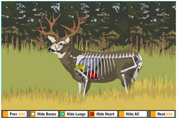 HUNTERcourse's tweet photo. Shot Placement is Vital!! Practice your shooting skills on a variety of game at http://t.co/GzGMRxwEqW http://t.co/Nm52kXsS6d