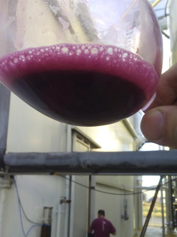 JustOresteO's tweet photo. vaya color que tienen los mostos fermentando en Extremadura....podemos asistir a una de las mejores cosechas!! http://t.co/xqIHhl9JuE