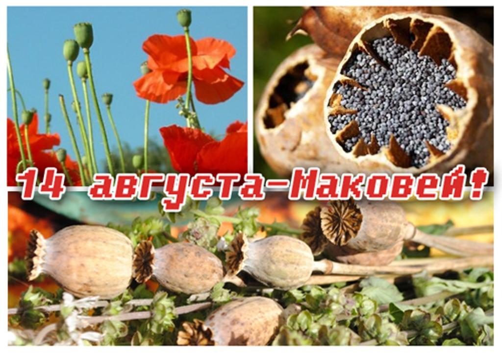 Маковей картинки с праздником, открытки