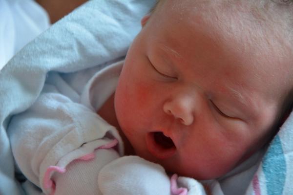 ron_fournier's tweet image. Hail Vale! @SavannahGuthrie: Vale, on the other hand, slept through the whole thing http://t.co/MNgMrst4B3”