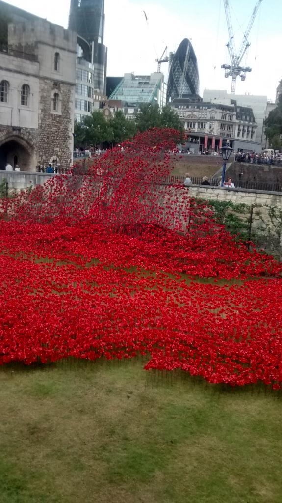 Poppies of remembrance around the tower. somber feeling everyone represents a life lost. Never forget ! Do go!