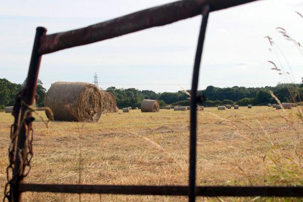 <a href="/ChesterChron/">Chester Chronicles</a> #snapshotoftheweek Silage Bales in Mickle Trafford. #photography #farming #summer