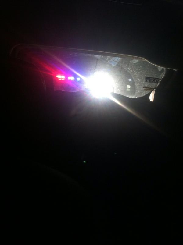 __dinolaur's tweet image. popo shut us down #jk #writtenwarning