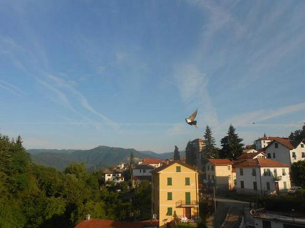 Miss_S_Fletcher's tweet photo. Buongiorno dalla #Valtrebbia, dalla mia finestra cielo azzurro e rondini in vole! http://t.co/QE4MgtoD5L