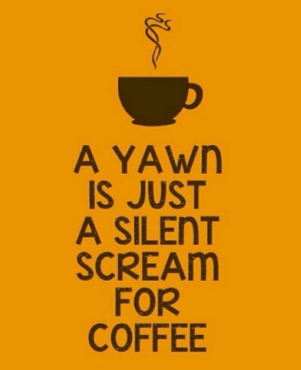 IdentityDigital tweet media