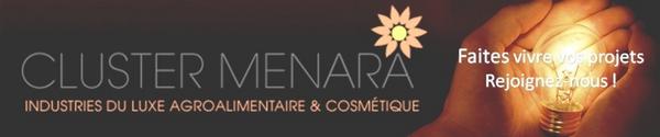 ClusterMENARA's tweet photo. Appel à proposition de projets innovants collaboratifs !

http://t.co/7IIKAVspzz http://t.co/vET8kv5LSk