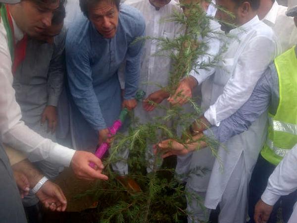 Tree plantation at Lal Kooh, Swat.