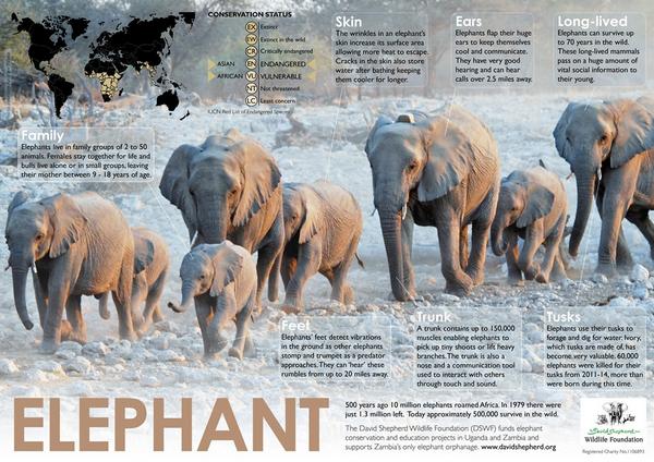 Asian elephant conservation act