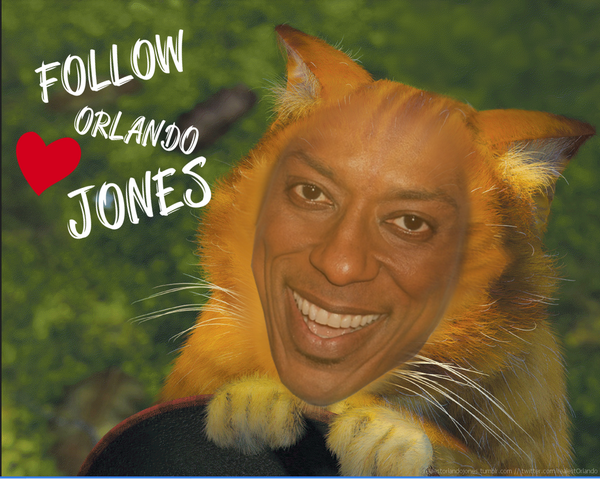 Don't forget to follow all Orlandos! THEY ARE ALL AMAZING!